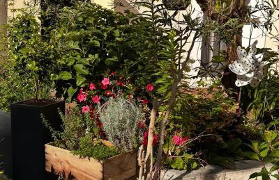 La casa d'Iza - Foto 2