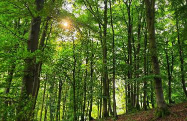 Ferienwohnungen Dorfliebe Dörnberg - Photo 46