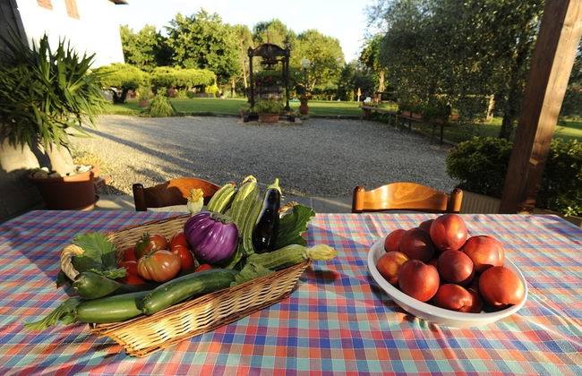 Agriturismo Bellosguardo - Foto 21