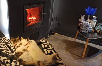 Accessible Luxury - Foto 79