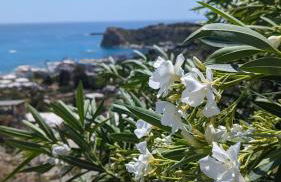 KIRA'S RESIDENCE PANORAMIC VIEW - Foto 44