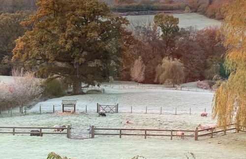 Upper Vobster Farm - Foto 71