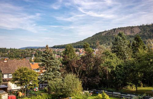 Ferienwohnung am Bollrich - Photo 27