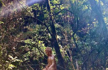 Quinta da Bocaina - Foto 24