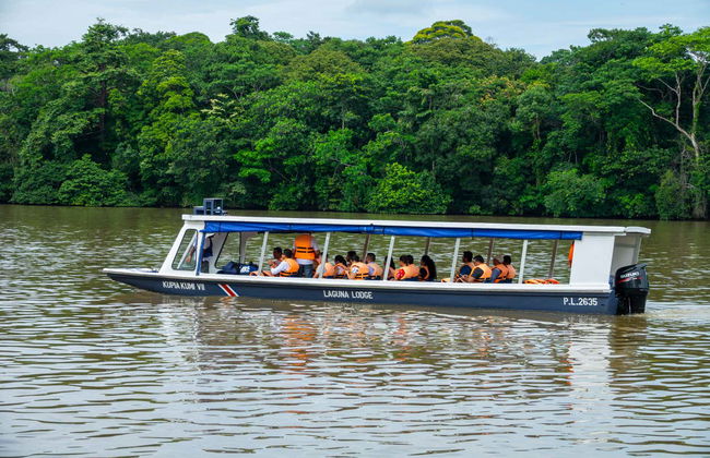 Tour de 2 ou 3 dias pelo Parque Nacional Tortuguero - Foto 9