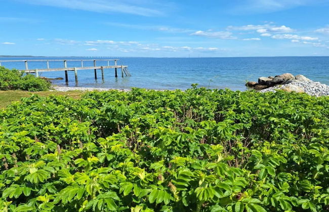 4 Person Holiday Home in Frorup - Photo 32