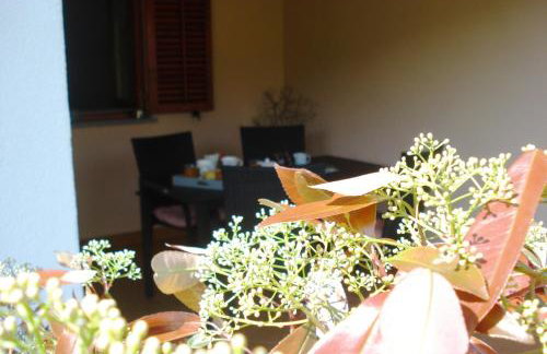 Studio Apartment MD - Photo 13