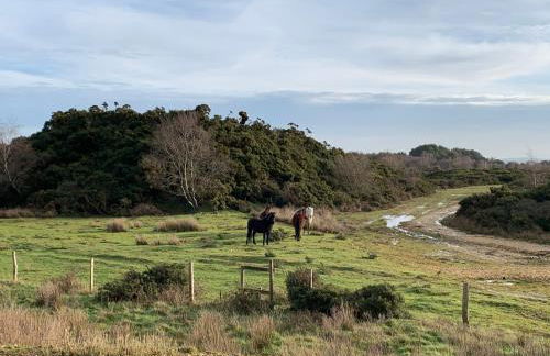 Agua de Plata, 16 Wakeling Island, Silverlake - Photo 33