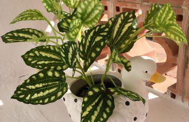 Ocean View Apartment - Foto 27