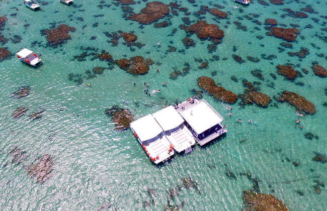 Balade en bateau avec snorkeling dans le récif de Maracajaú - Photo 5