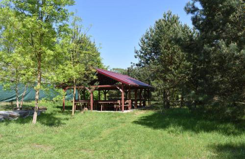 Newland Wójtowicz - Foto 50