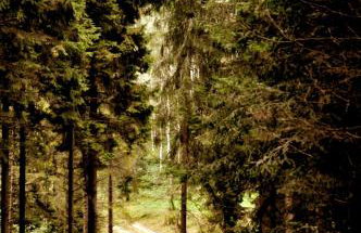 Apartament w Bieszczadach - Willa Stasia - Foto 14