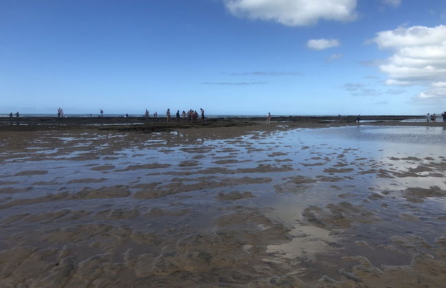 Branca Tropical Brasil Residencial - Foto 58