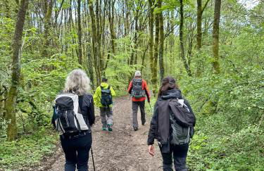 Ferienwohnung Schwarzhof Hahnekräh am Bostalsee - Foto 20