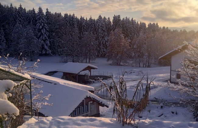 Ferienwohnung im Bayerischen Wald mit Terrasse - Photo 22