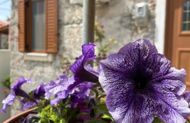 Afroditi's 1 - Photo 17