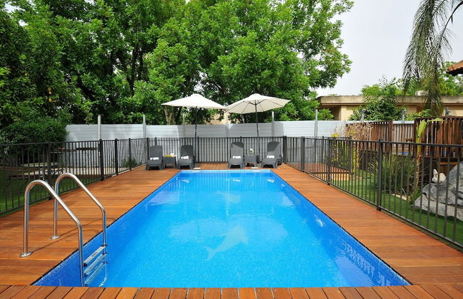 Love & Lemons - Photo 22