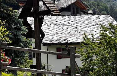 Chalet Cheverel (AO) - Foto 69