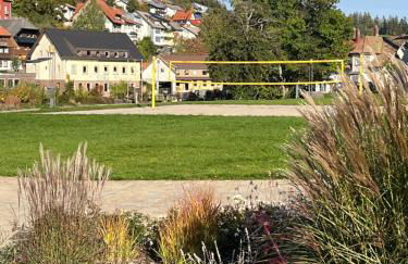 Apartment Schwarzwald-Anni Pool Tennis Sauna - Foto 24