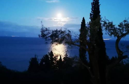 Nikoli Apartments - Foto 36