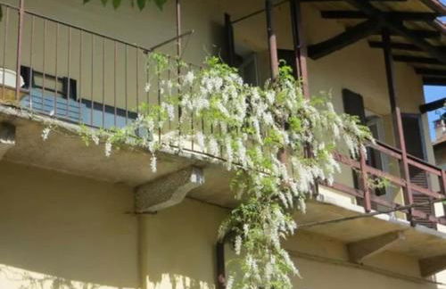 Belgirate il Lavatoio - Foto 1