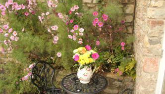 Wassail Barn Wedmore - Foto 3