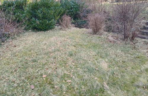 Ferienwohnung in Bliedersdorf für 1 bis 3 Person - Photo 11