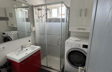 Phoenix Canariensis - Foto 12