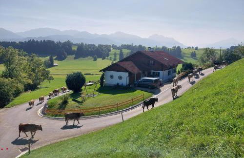 Wörle, Ferienhof - Foto 17