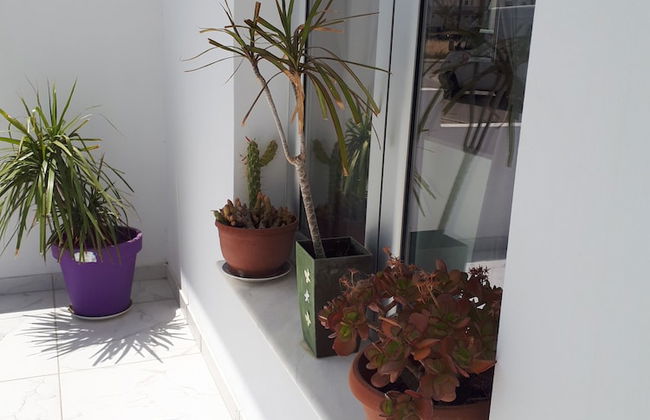 Eva Christ Apt - Photo 14