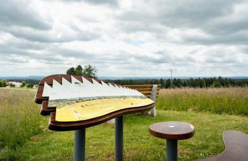 Schwarzwald Ruhe - Foto 21