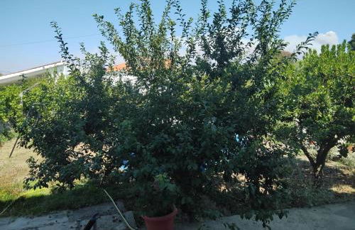 Casa do Campo - Foto 25