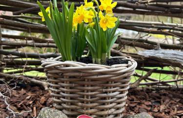 Haus Wichtelwald - Photo 40