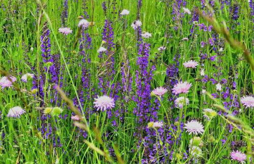 3 Zimmer Neubauwohnung in der schwäbischen Toskana - Foto 29