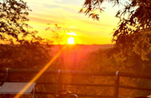 Azienda agricola biologica Le Lucciole - Foto 18