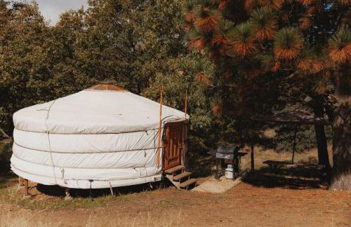 Cosy yurt at a nature retreat - Foto 10