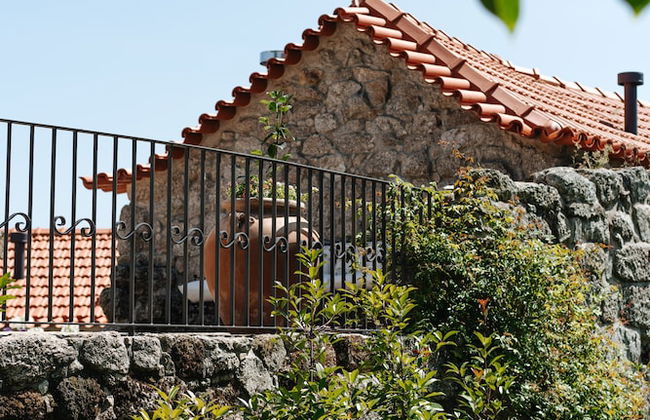 D'Autor Village - Photo 37