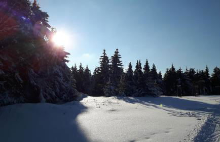 Ferienwohnung Wolf - Photo 19