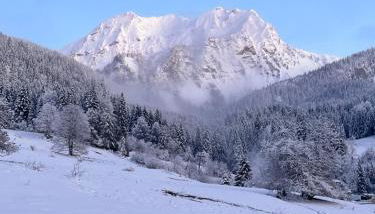 Appartement dans maison familiale - Foto 3