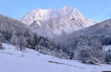 Appartement dans maison familiale - Foto 3
