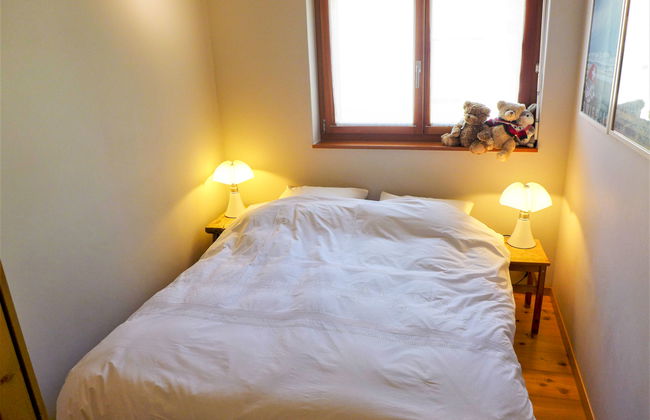 Soldanella 2 - Foto 22