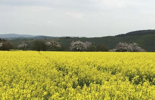 Old Winemaker's House Müntnich - Foto 33