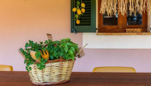 Can Pamboli - Photo 4