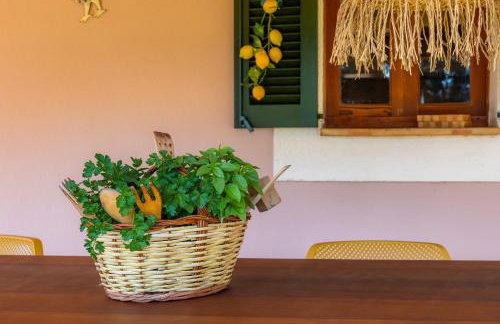 Can Pamboli - Foto 4