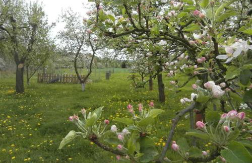 Ferienwohnung im Vogelhaus mit Dachterasse und großem Garten - Foto 34