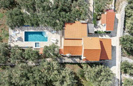 Holiday house Ivan with heated pool - Foto 1