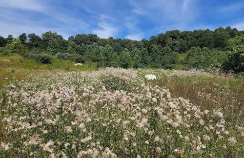 Deer Haven Cabin - Foto 36