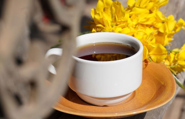 Kadir's Family House - Photo 36