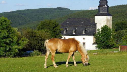 Haflinger Reiterhof Meura - Foto 2