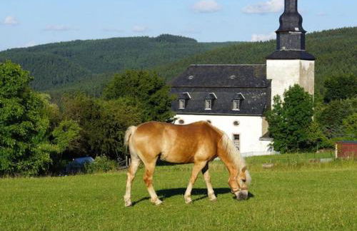 Haflinger Reiterhof Meura - Foto 2